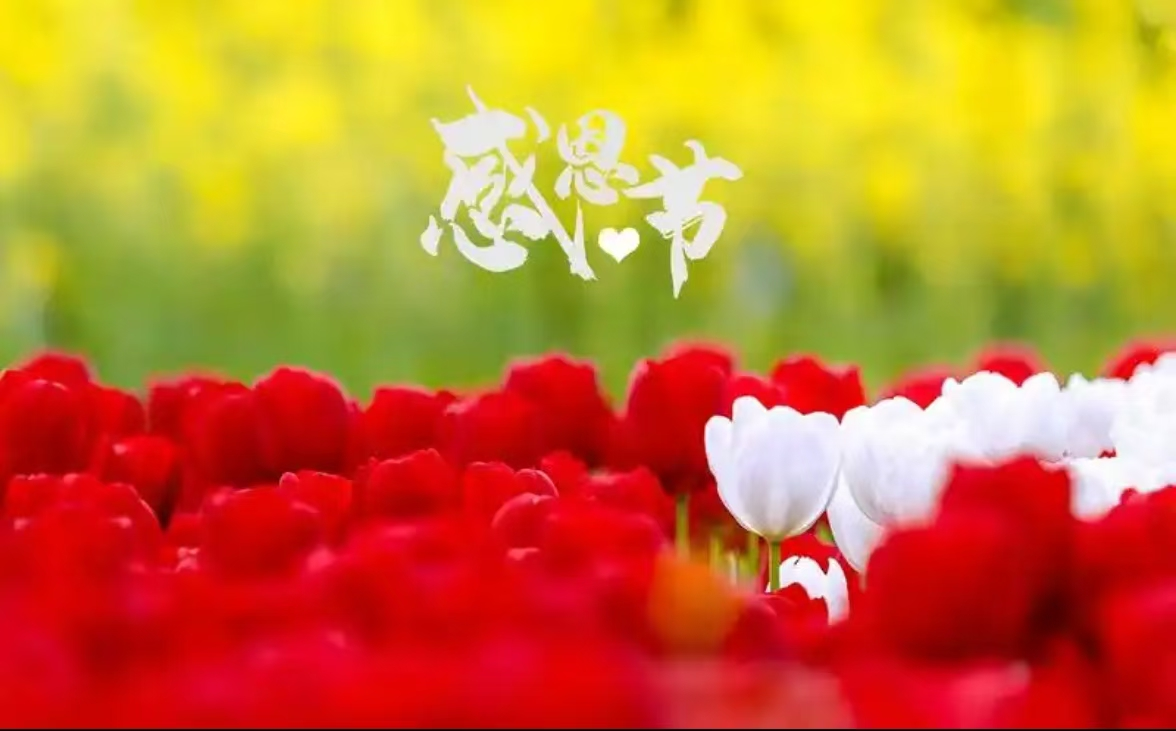 微信图片_20241127104053.png
